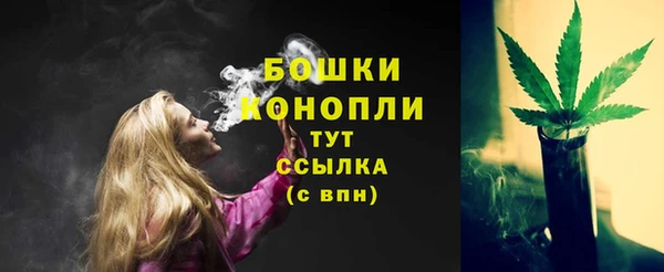 гидропоника Богородск