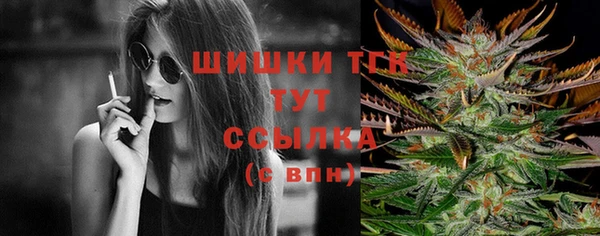 гидропоника Богородск
