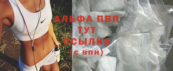 ешки Богданович