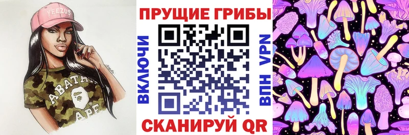 Псилоцибиновые грибы MAGIC MUSHROOMS Долинск