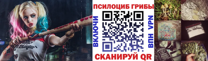MEGA как войти Долинск Галлюциногенные грибы Cubensis наркота